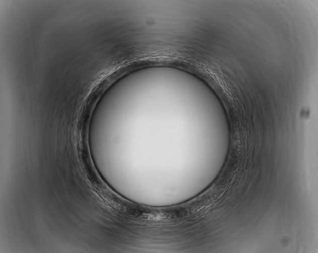 X0000101150688200806270800