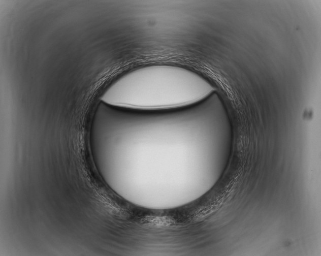 X0000101150689200806270800