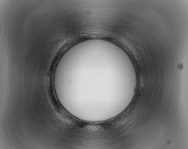 X0000101150690200806270800