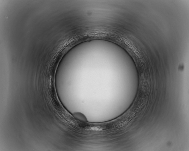 X0000101150692200806270800