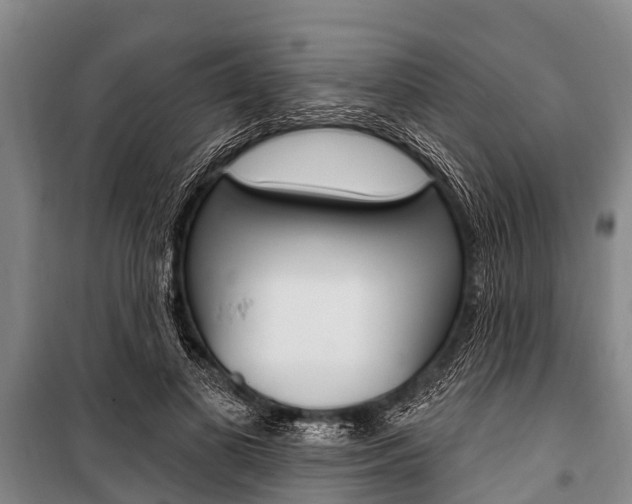 X0000101150693200806270800