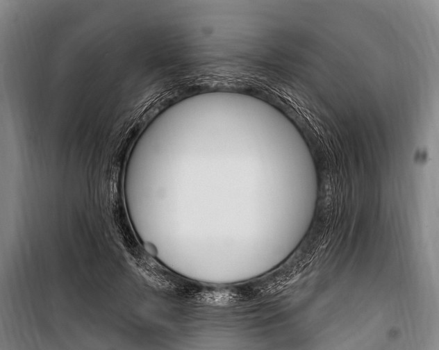 X0000101150695200806270800