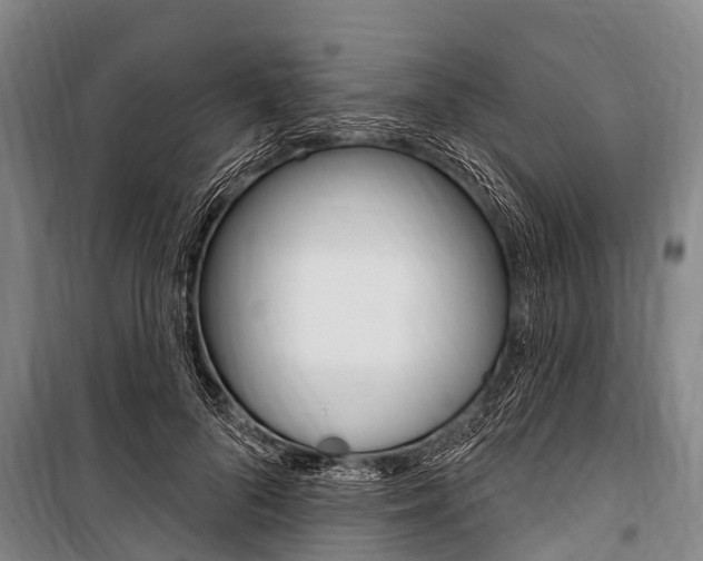 X0000101150696200806270800