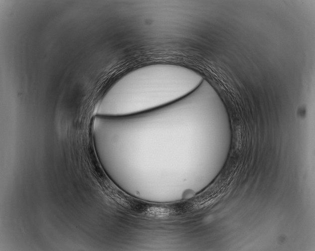 X0000101150699200806270800