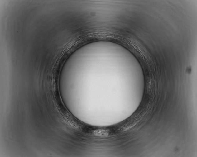 X0000101150700200806270800