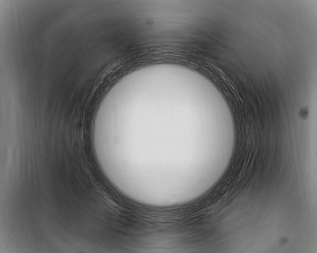 X0000101150701200806270800
