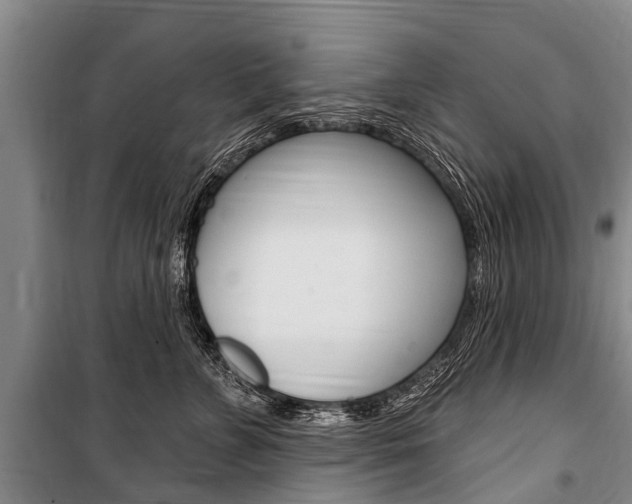 X0000101150715200806270800