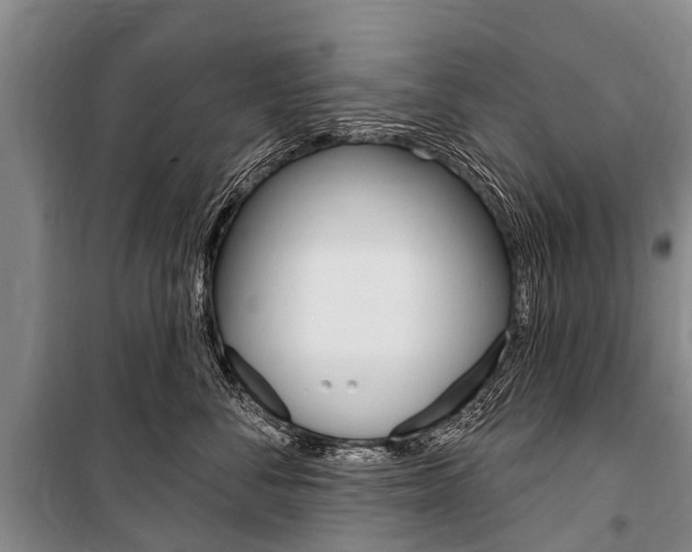 X0000101150716200806270800