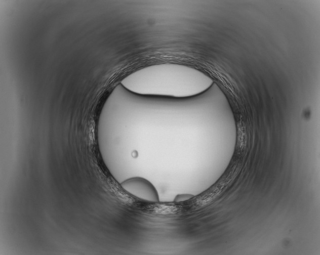 X0000101150718200806270800