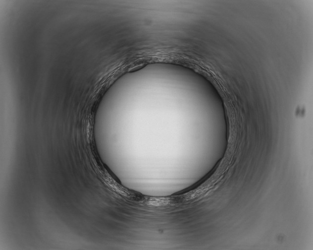 X0000101150720200806270800