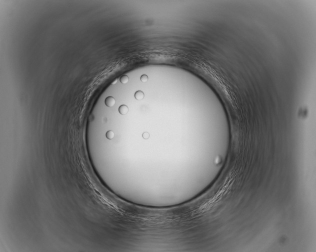 X0000101150721200806270759
