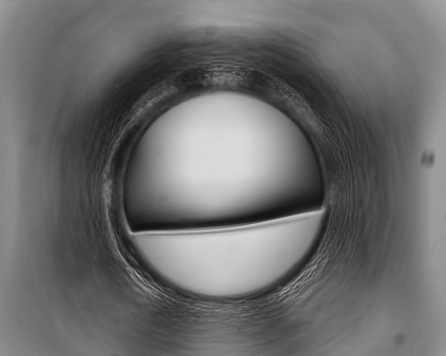 X0000101150722200806270759