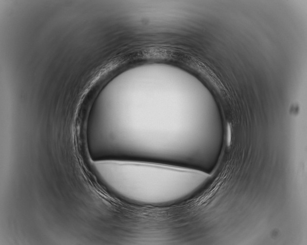 X0000101150723200806270759