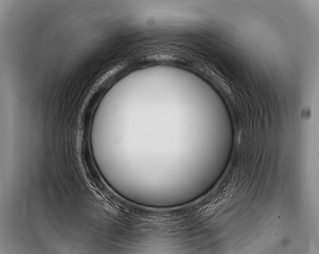 X0000101150724200806270759