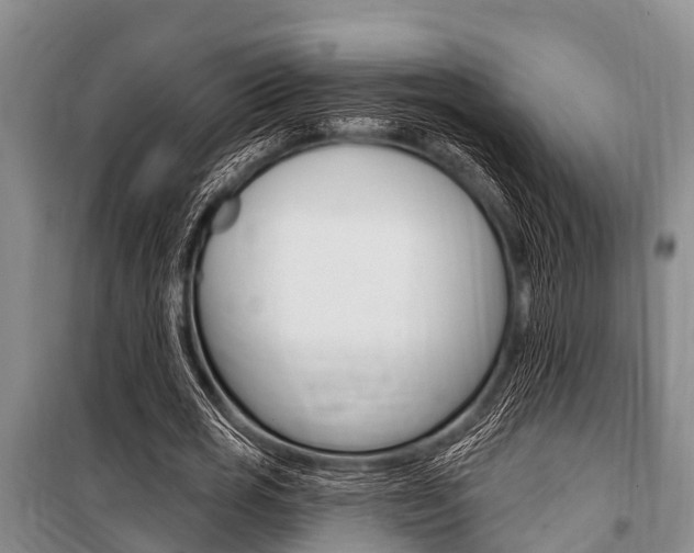 X0000101150725200806270759