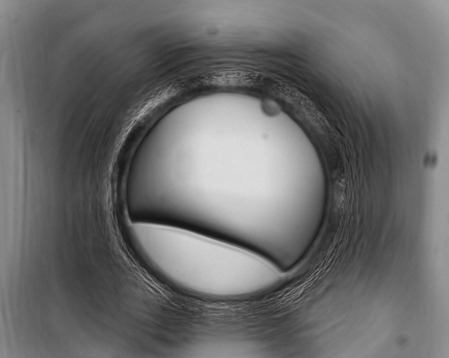 X0000101150727200806270759
