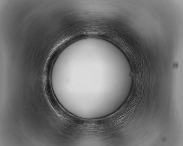 X0000101150728200806270759