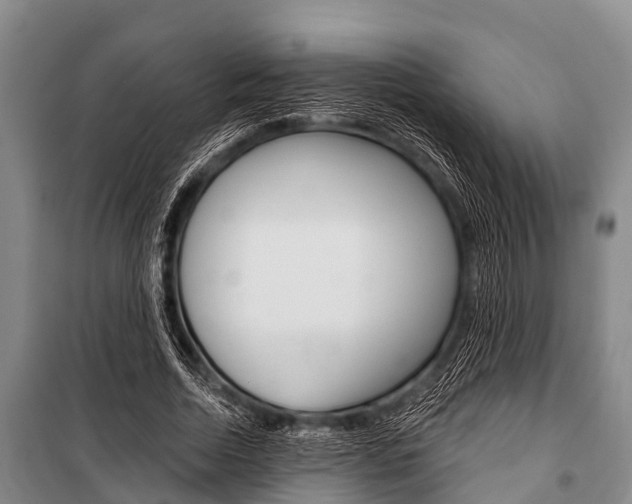 X0000101150730200806270759