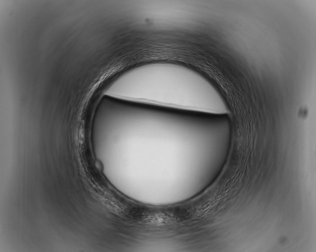 X0000101150731200806270759