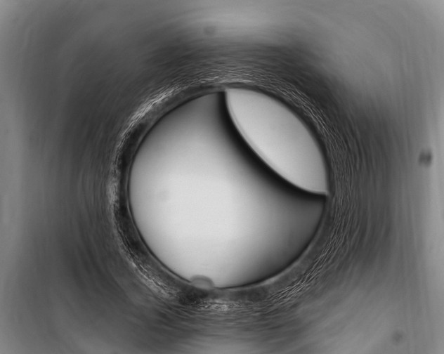 X0000101150732200806270759