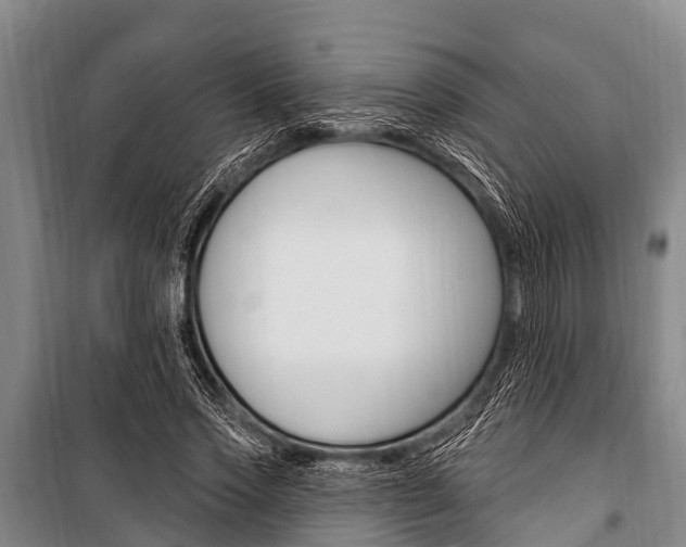 X0000101150733200806270759