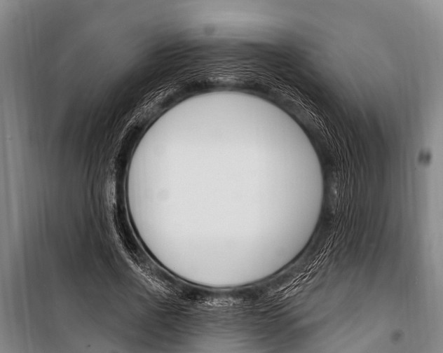 X0000101150734200806270759