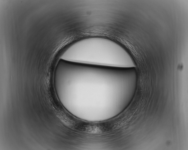 X0000101150735200806270759