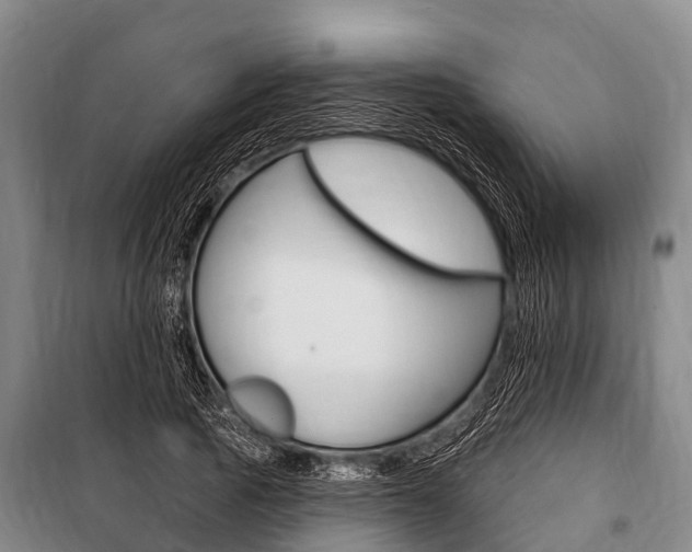 X0000101150737200806270759