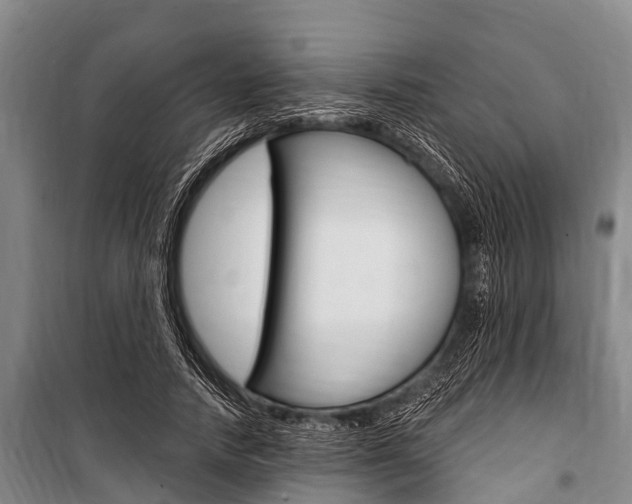 X0000101150738200806270759