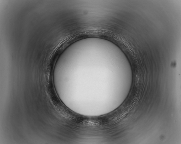 X0000101150739200806270759