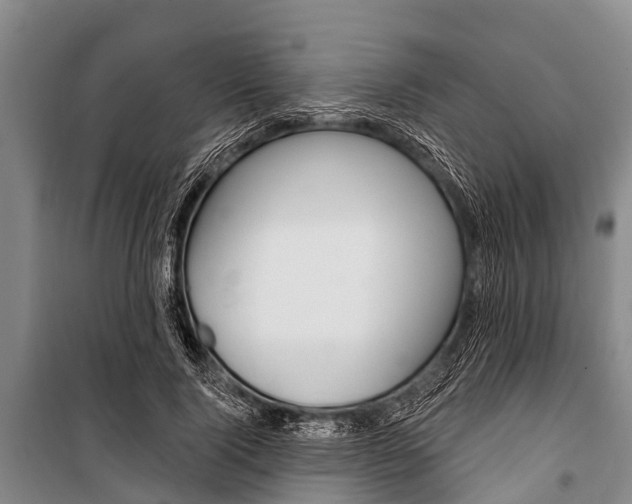 X0000101150740200806270759