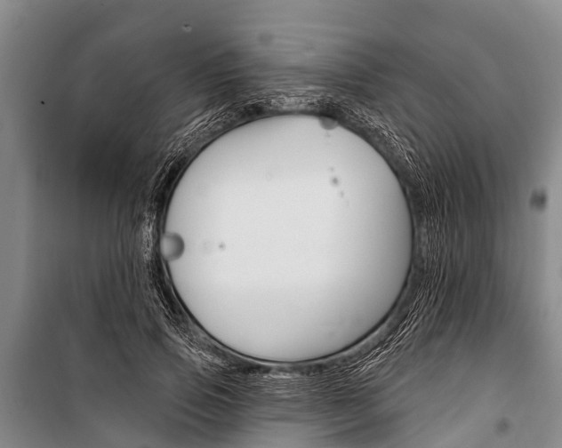 X0000101150741200806270759