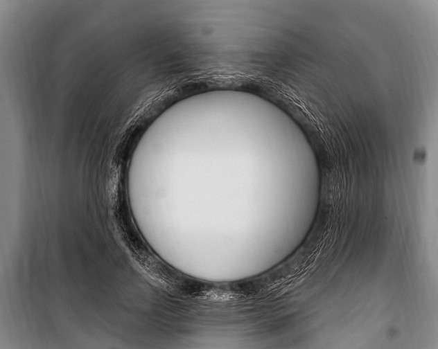X0000101150742200806270759