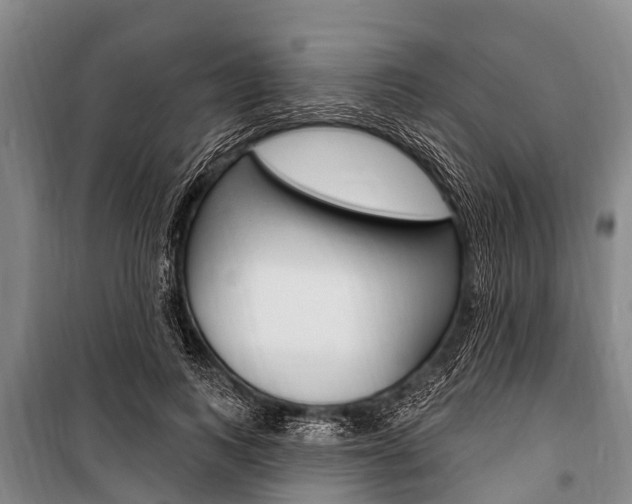 X0000101150743200806270759