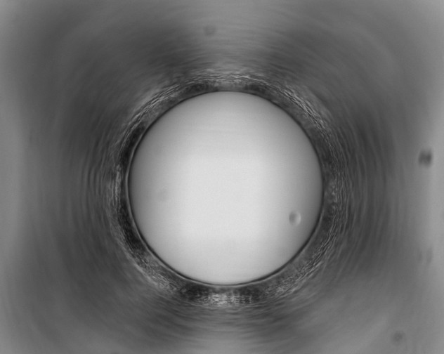 X0000101150744200806270759