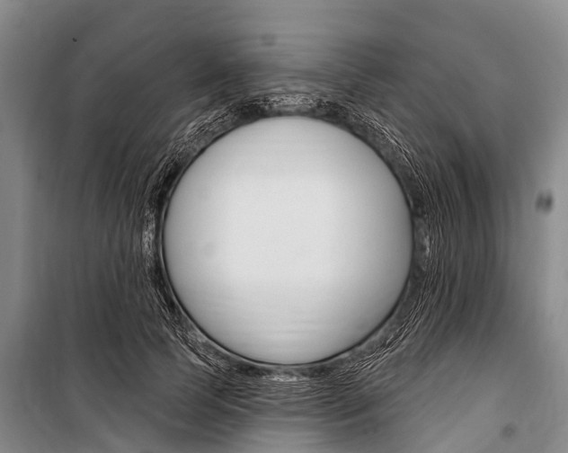 X0000101150745200806270759