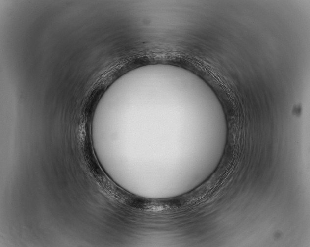 X0000101150746200806270759