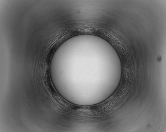 X0000101150747200806270759