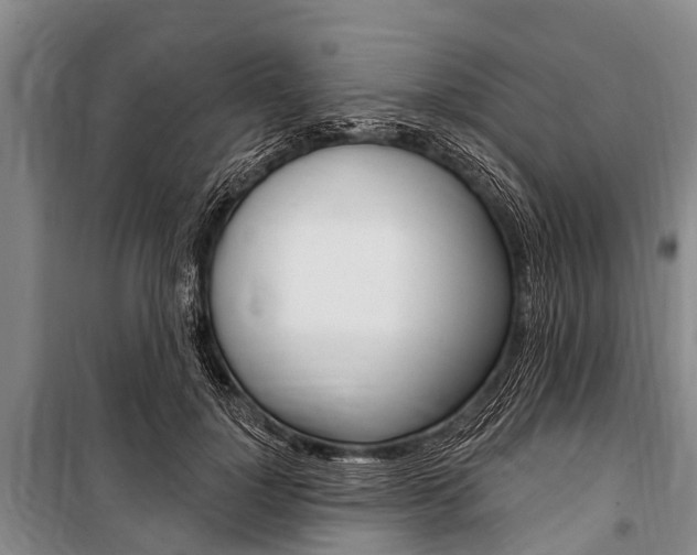 X0000101150748200806270759