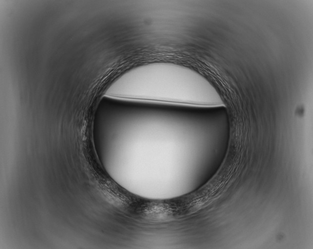 X0000101150750200806270759