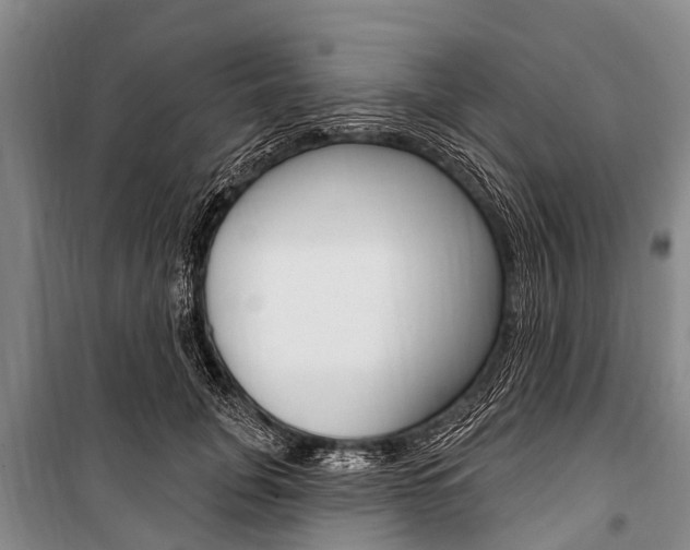 X0000101150751200806270759