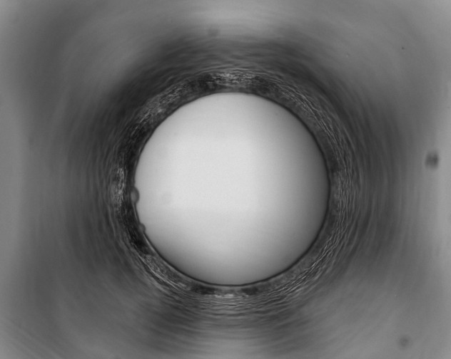 X0000101150752200806270759