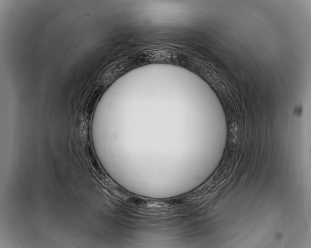 X0000101150753200806270759