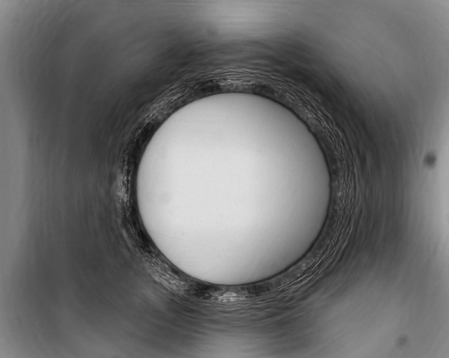 X0000101150755200806270759