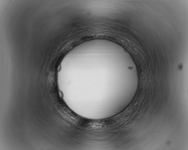 X0000101150756200806270759