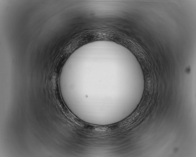 X0000101150757200806270759