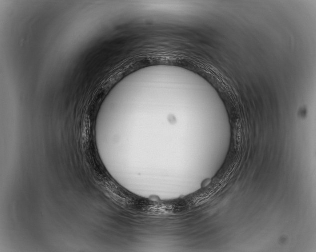 X0000101150760200806270759
