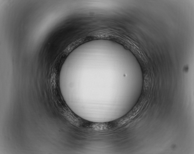 X0000101150762200806270800