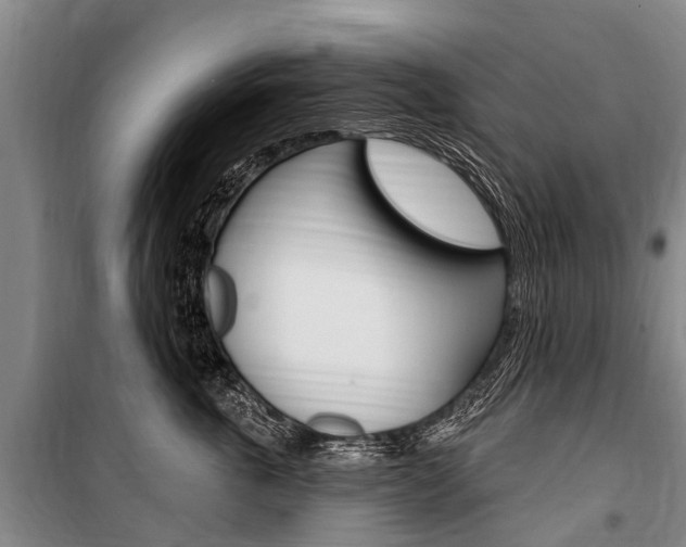X0000101150763200806270800