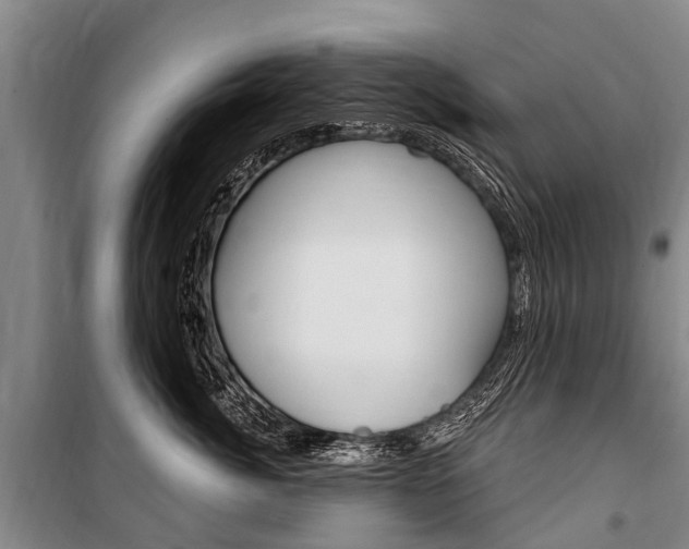 X0000101150764200806270800